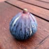 pepiniere-biologique-arbre-figue-sultane-fruit
