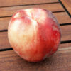 pepiniere-biologique-arbre-peche-benedicte-fruit