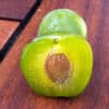 pepiniere-biologique-arbre-prune-reine-claude-doree-coupe