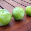 pepiniere-biologique-arbre-prune-reine-claude-doree-fruit