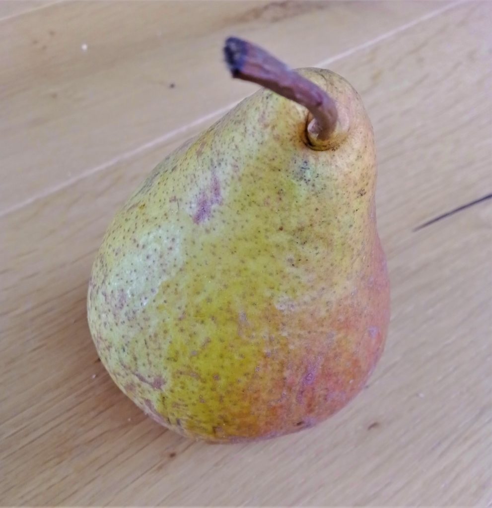 pepiniere-biologique-arbre-poire-harrow-sweet-fruit