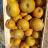 Pommes Reinette Grise du Canada