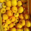 Caisse de pommes Reinette dorée