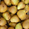 Poire bio Général Leclerc