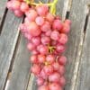 Raisin bio Héléna