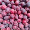Prunes Héléna en cagette