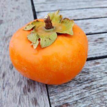 Kaki Fuyu non astringent