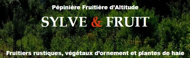 p&eacute;pini&egrave;re Sylve et fruit